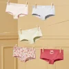 Underwear, Socks, Tights-Sergent Major Off white SHORTY
